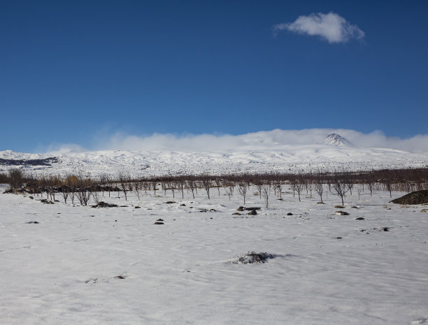 冬天的风景，雪原的全景。图片下载