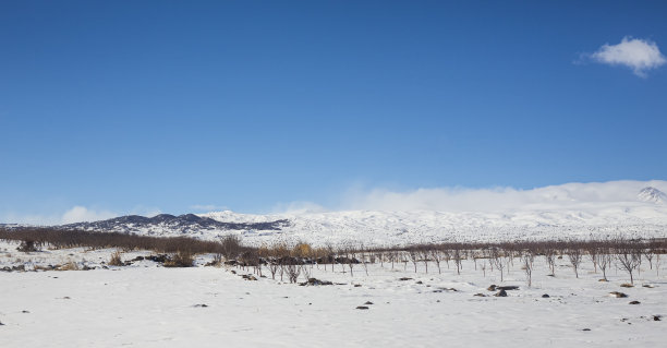 冬天的风景，雪原的全景。图片下载