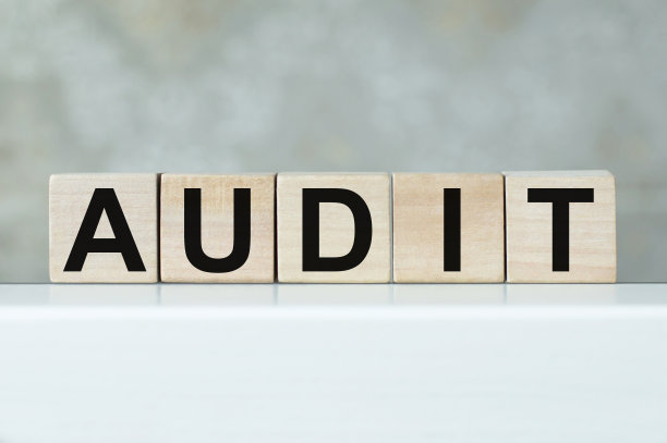 商业和金融概念。一个包含审计的多维数据集图片下载