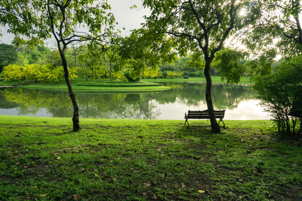 木椅，绿草如茵的树和湖在清晨的公园。图片下载