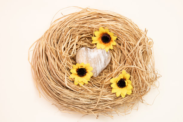 Creative flat lay composition心形和花朵在一个软窝。逼真的审美背景。当代风格。情人节或爱情的概念。图片下载