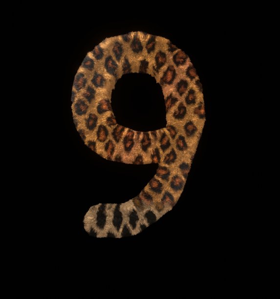 豹纹主题字体9号图片下载