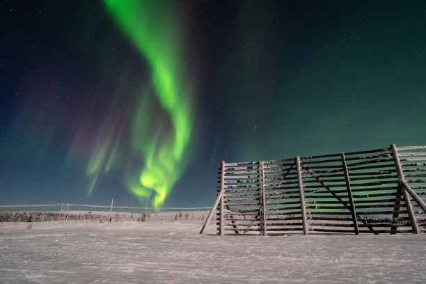 拉普兰上空的北极光图片下载