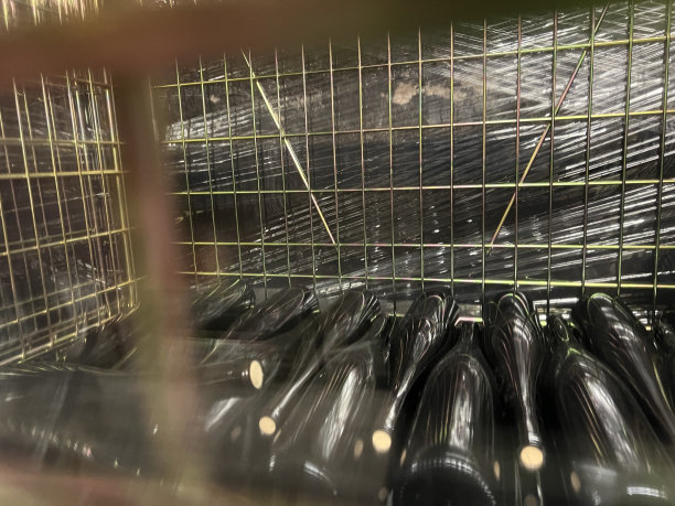 德国酒窖正在生产的酒瓶图片下载
