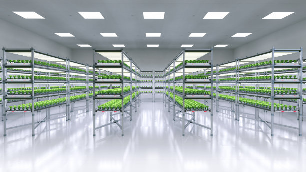 室内农场系统通过led灯在架子上种植植物图片下载