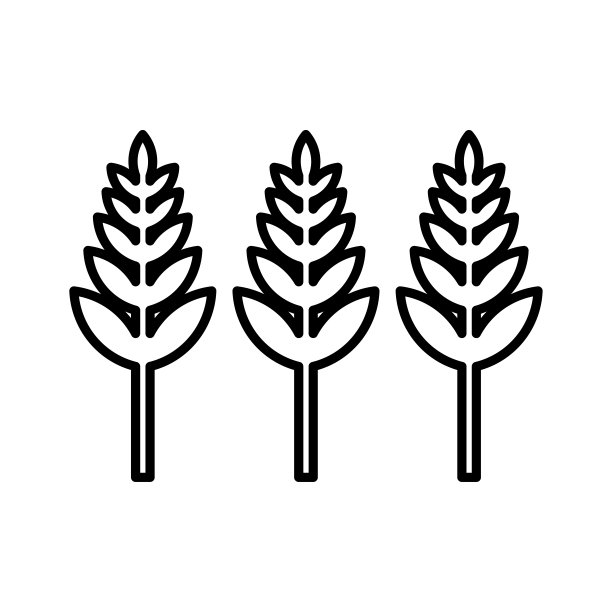 收获，种子，麦穗的图标。轮廓向量。图片下载