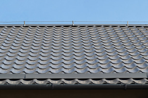 这房子的屋顶是瓦片做的图片下载