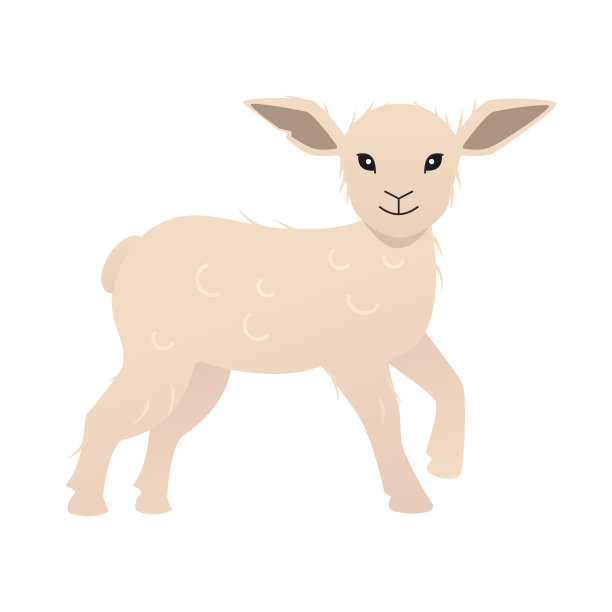 白色羊羔-现代平面设计单一孤立对象图片下载