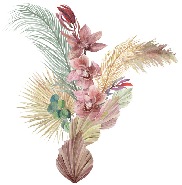 干花束，用来制作波西米亚风格的贺卡，白色背景上有兰花图片下载