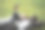 穿着考究的多种族青年商人躺在绿色的草地上，手里拿着智能手机图片下载