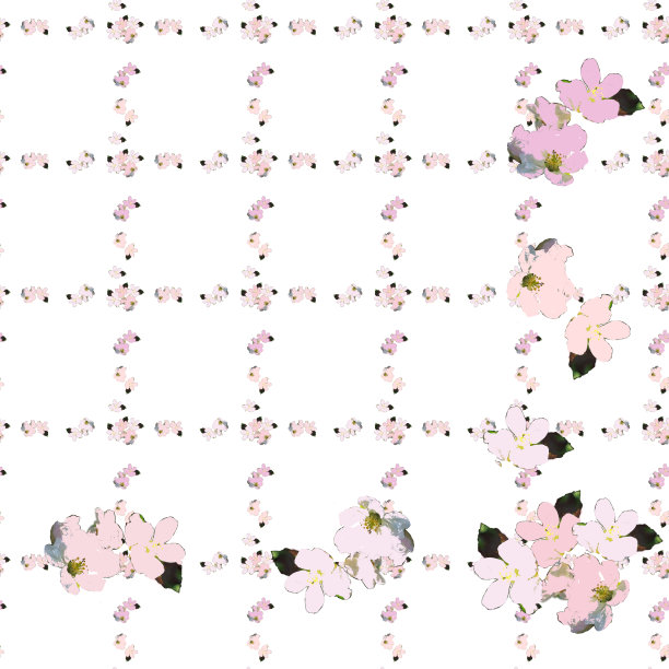 图案装饰开花的苹果树花。图片下载