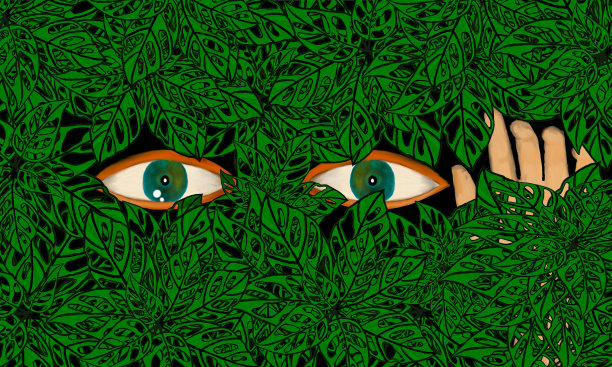 隐藏在灌木丛中的可怕景象。图片下载