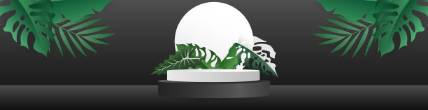 横幅黑色讲台与棕榈叶最小抽象背景，3D舞台讲台展示产品，站显示化妆品产品，插图3D矢量EPS 10图片下载