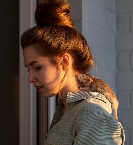 可爱的老鼠在一个漂亮女孩的肩膀上图片下载