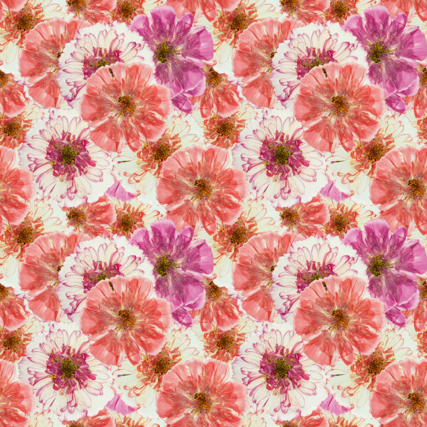 宇宙,kosmeya。插图，花的纹理。连续复制的无缝模式。花卉背景，照片拼贴纺织品，棉织物。墙纸，封面，打印图片下载