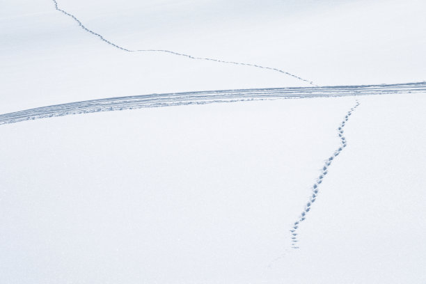 厚厚的雪地上的脚印图片下载