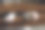 一只小白猫躺在折叠的床垫上休息。图片下载
