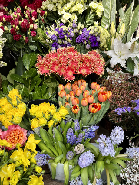 花店的花图片下载