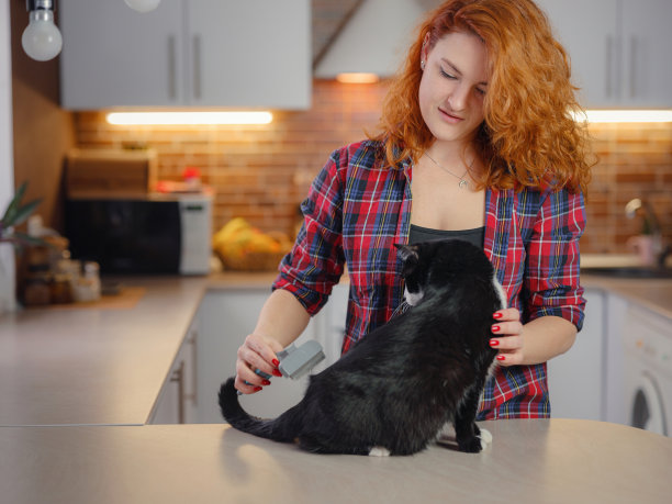 女猫在家梳洗图片下载