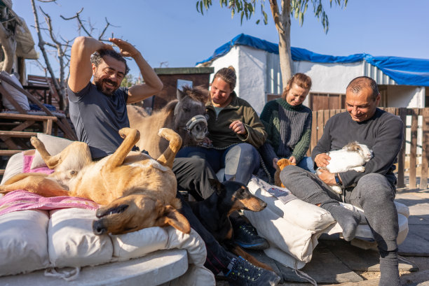 一群快乐的混血朋友和他们的宠物在农舍的花园里共度时光图片下载