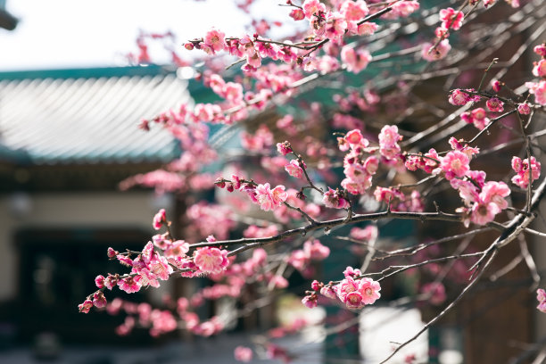 中国文化图片图片下载