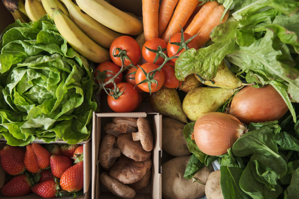 水果和蔬菜。新鲜有机食材。图片下载