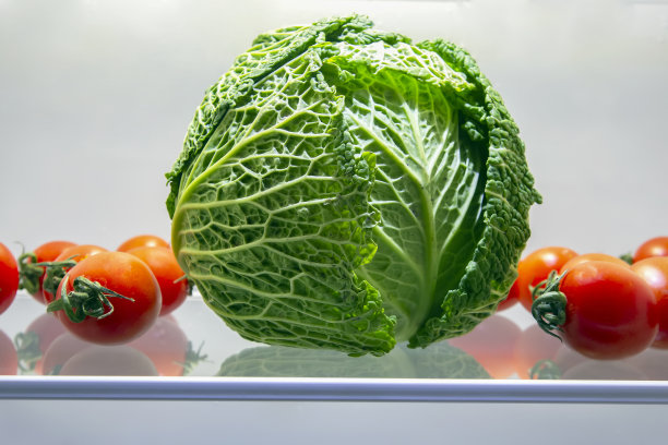 冰箱里有水果和蔬菜。保存维生素的健康食品图片下载