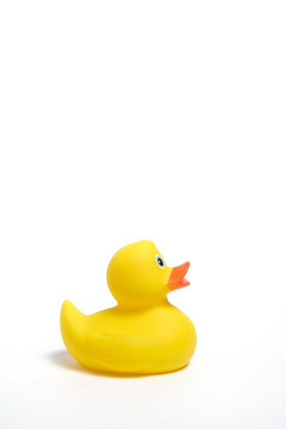 白色背景上的黄色橡皮鸭。图片下载