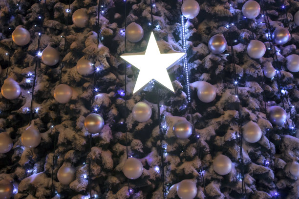 装饰的一部分是一棵被雪覆盖的圣诞树。背景的节日装饰图片下载