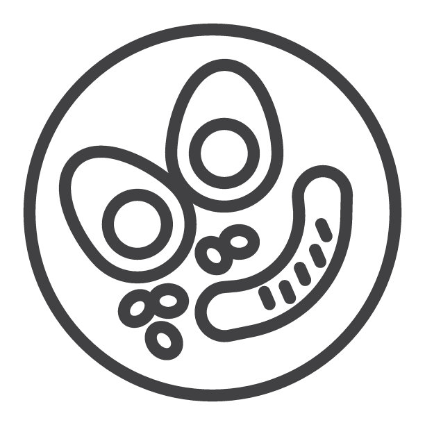 煮鸡蛋与香肠和豆线图标图片下载