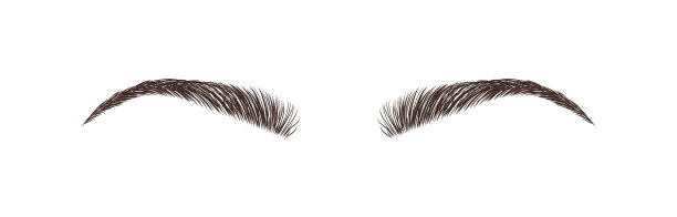 白色背景上的女性眉毛。永久化妆和微叶片。眉毛酒吧的标志。线性向量插图新潮极简主义风格图片下载