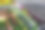 在花盆里种植报春花，在花园里的餐桌上出售。花在阳光下闪闪发光。远处乌云密布，下着阵雨图片下载