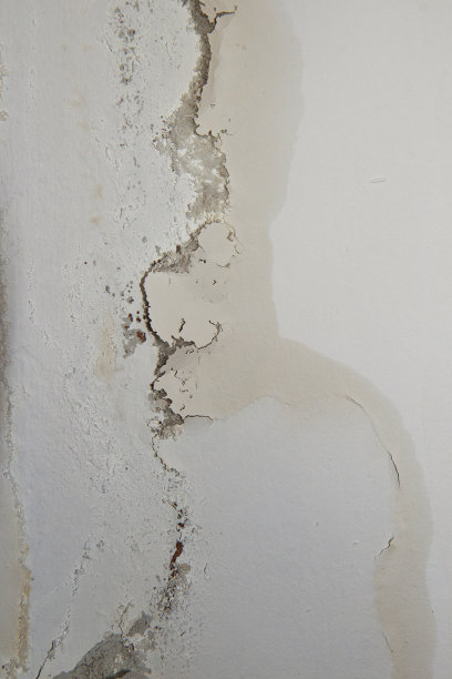 水从墙内渗入造成的湿乎乎的地方。图片下载