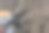 果树上的树枝春季修剪图片下载