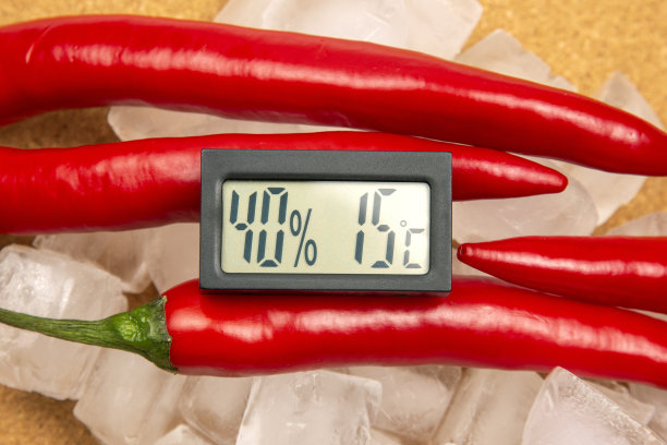 用于测量红辣椒背景上的空气温度和湿度的数字温度计。辣椒的比喻图片下载