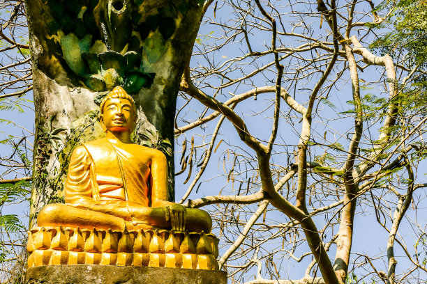 泰国佛像，数码照片图片为背景图片下载