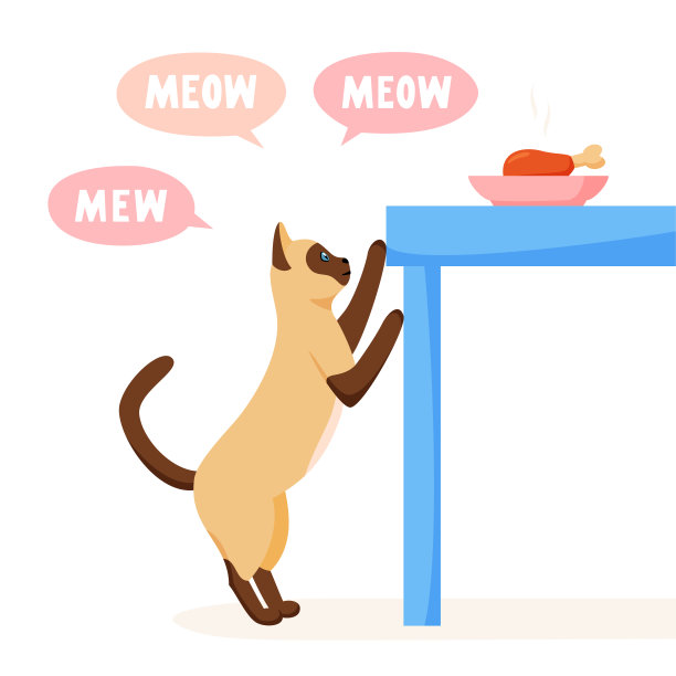 猫在餐桌上乞求食物，还经常喵喵叫。宠物要食物。猫从餐桌上偷东西。平风格向量图片下载