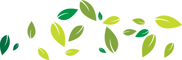 绿叶背景图片下载