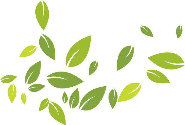 绿叶背景图片下载