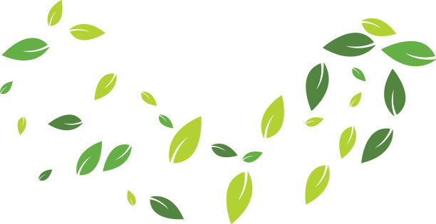 绿叶背景图片下载