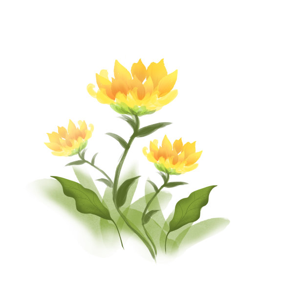 国风菊花淡雅图片下载