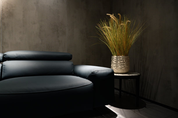 客厅皮沙发的一部分图片下载