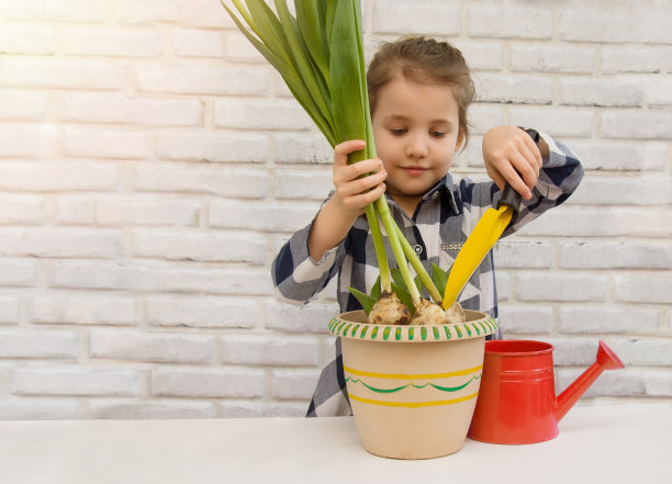 一个可爱的小女孩正在家里种球茎花。靠着灰色砖墙的桌子上，一个小女孩用一把花园用的勺子往花盆里浇水。这孩子帮忙干园艺活。的爱好。图片下载