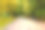 艺术写实插画的夏季公园与大量的绿色植物，树木和草地在一个阳光明媚的晴朗的日子图片下载