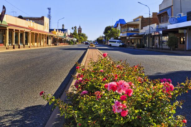 BH街花路银图片下载