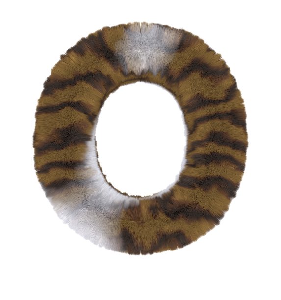 棕色虎斑猫主题字体字母O图片下载