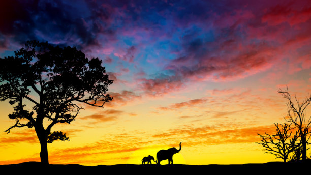 沙漠风景，美丽的日落，还有一头大象的剪影和远处的一头小象。沙漠日落时分。图片下载