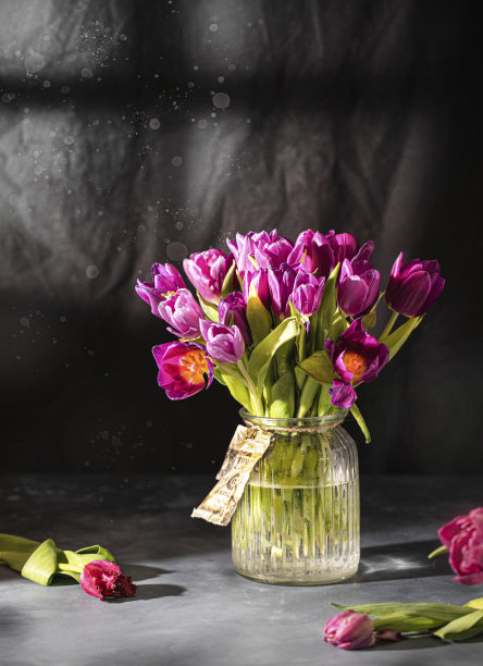 玻璃花瓶里的郁金香花束图片下载