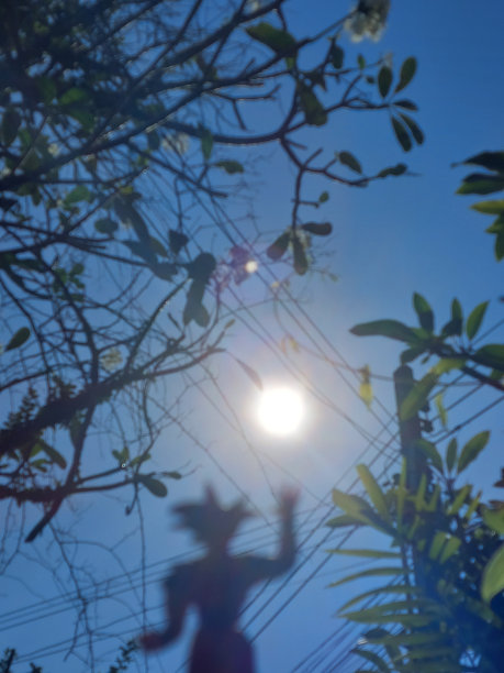 悟空巴尔根吉图片下载