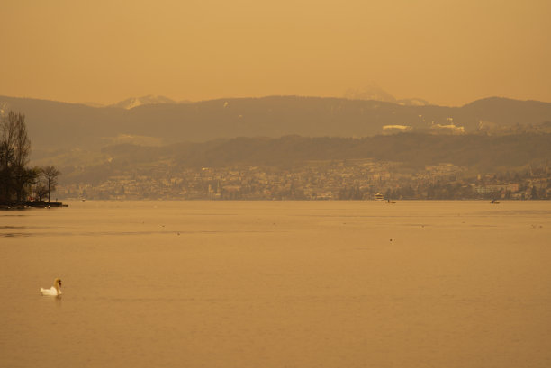 湖Zürich从Zürich市看到橙色的天空，因为撒哈拉沙漠的灰尘和天鹅在一个春天的一天。图片下载